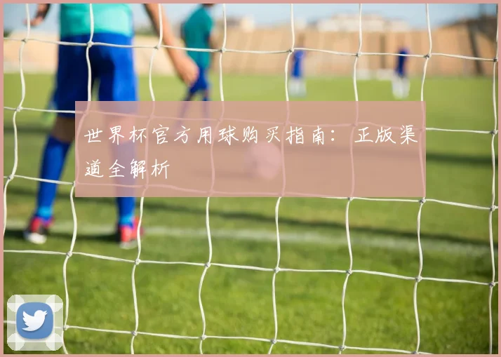 世界杯官方用球购买指南：正版渠道全解析