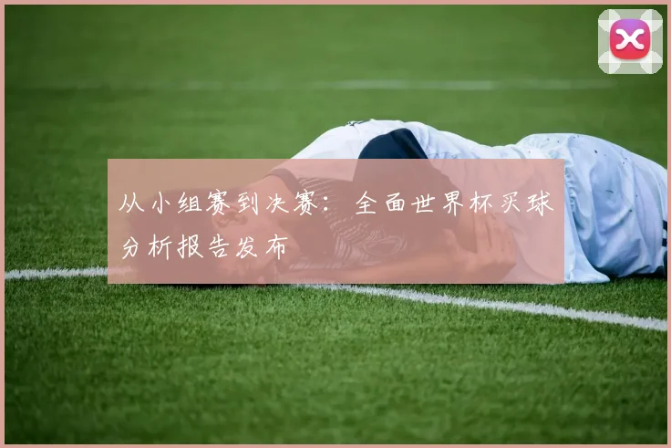 从小组赛到决赛：全面世界杯买球分析报告发布