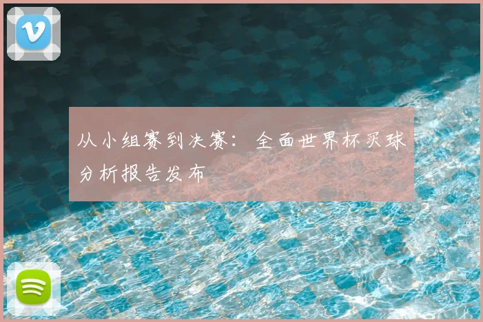 从小组赛到决赛：全面世界杯买球分析报告发布