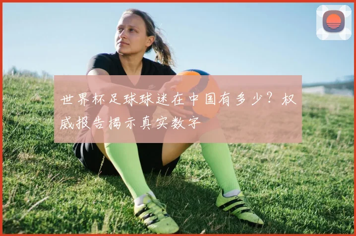 世界杯足球球迷在中国有多少?权威报告揭示真实数字