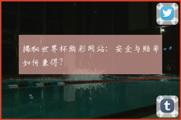 揭秘世界杯购彩网站：安全与赔率如何兼得？