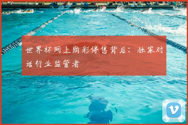 世界杯网上购彩停售背后：独家对话行业监管者