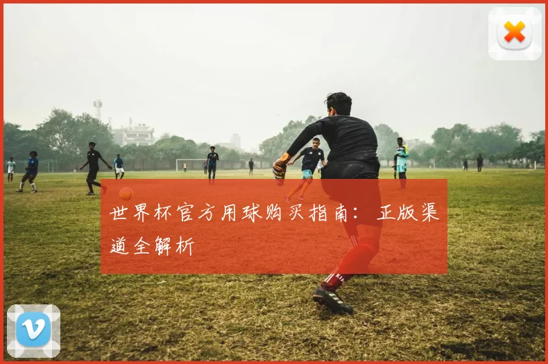 世界杯官方用球购买指南：正版渠道全解析