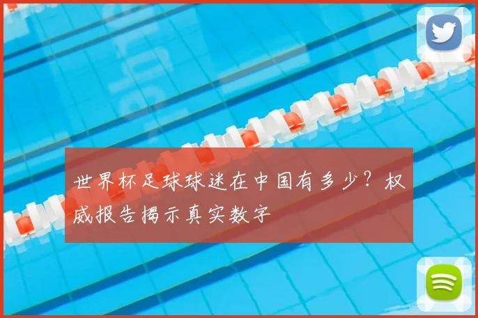 世界杯足球球迷在中国有多少？权威报告揭示真实数字